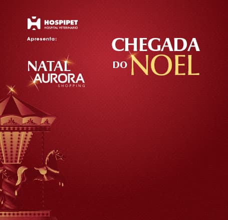 Chegada do Papai Noel